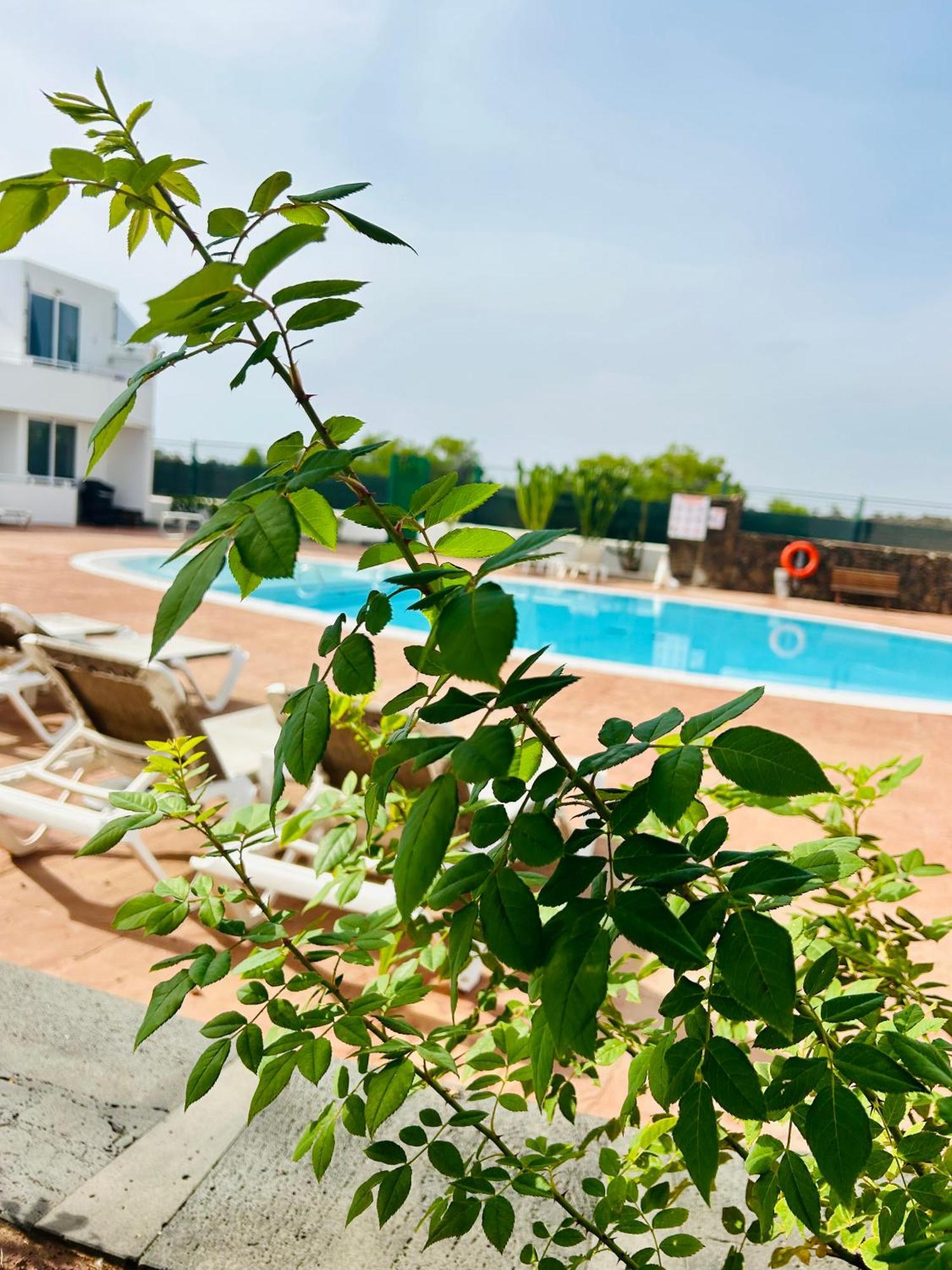 Apartamento Casa Alexia Teguise  Exterior foto